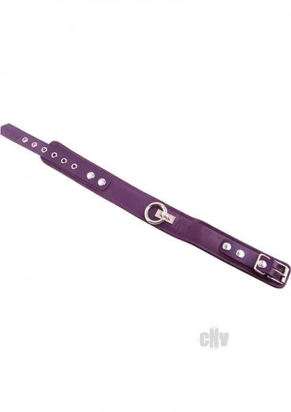 Seductucom Vibrators Rouge Plain Collar 1 Ring Purple