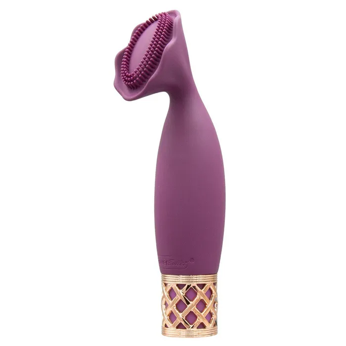 BMS Enterprises Pillow Talk Secrets Passion Mini Massager Female Sex Toys