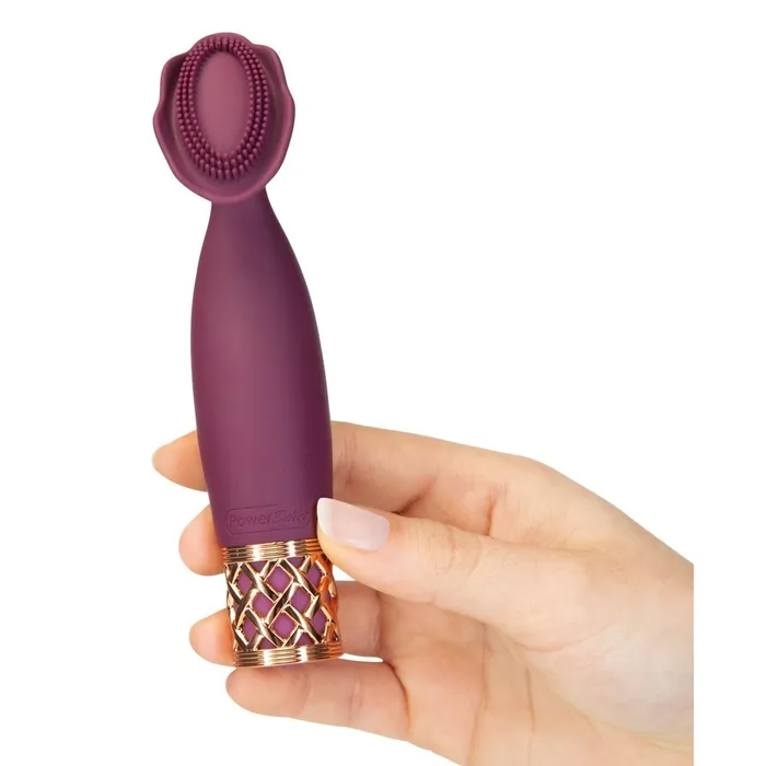 BMS Enterprises Pillow Talk Secrets Passion Mini Massager Female Sex Toys BMS Enterprises Pillow Talk Secrets Passion Mini Massager Female Sex Toys