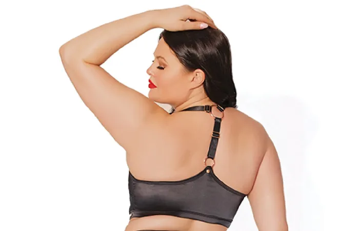 Anal Coquette Black Label Harness Panty Black OsXl