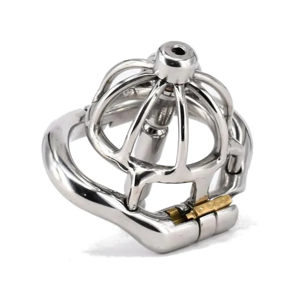 CHASTITY CAGE CO Male Sex Toys Stretched and Spiked Male Chastity Device 173 inches long