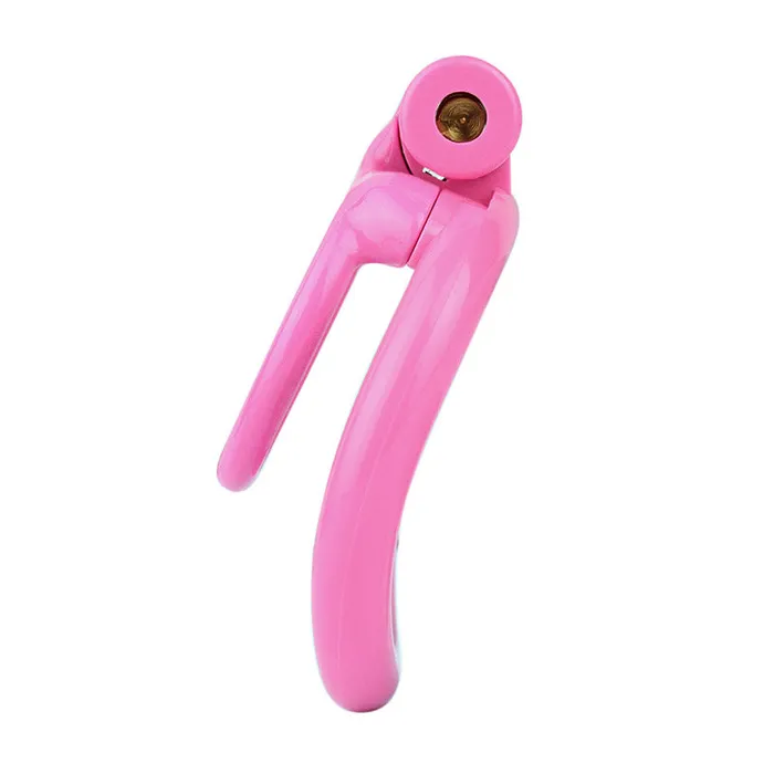 Male Sex Toys CHASTITY CAGE CO Resin Locking Cock Cage