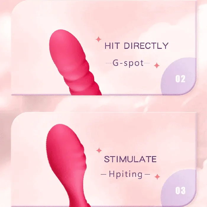 Female Sex Toys Wearable Female Sex Toys Vibrator with Remote Control EVEs SECRETS