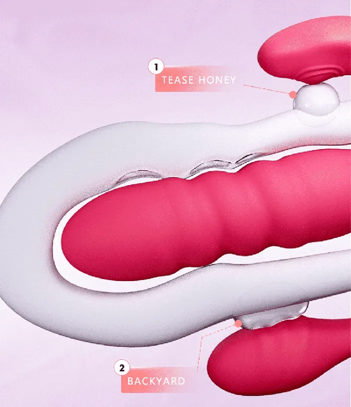 Female Sex Toys Wearable Female Sex Toys Vibrator with Remote Control EVEs SECRETS