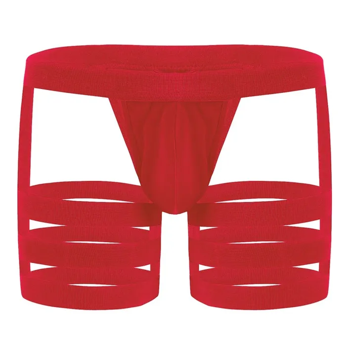 Mens Sexy Panties with Bulge Pouch and Garters Erotic Underpants Underwear EVEs SECRETS Male Sex Toys