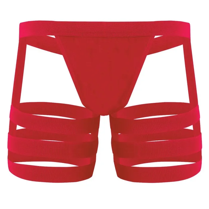 Mens Sexy Panties with Bulge Pouch and Garters Erotic Underpants Underwear EVEs SECRETS Male Sex Toys
