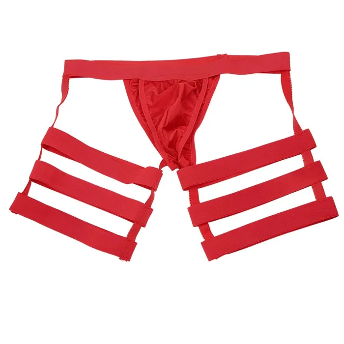 Mens Sexy Panties with Bulge Pouch and Garters Erotic Underpants Underwear EVEs SECRETS Male Sex Toys