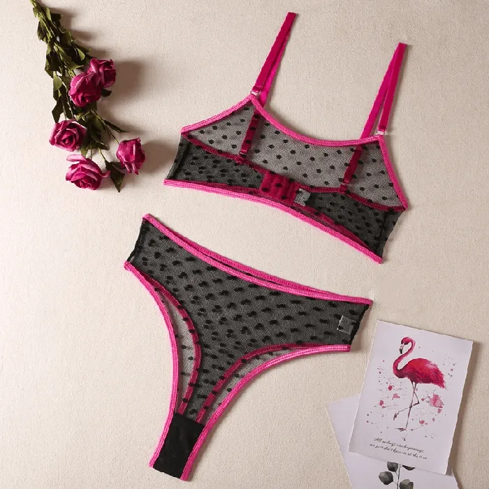 Womens Erotic Lingerie with Polka Dot Pattern Transparent Bra and Panty Sexy Intimate Underwear EVEs SECRETS Female Sex Toys