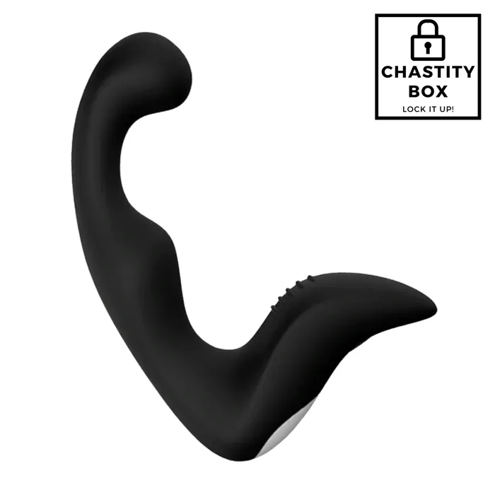 Anal Chastitydirect 9 Speed Prostate Vibe