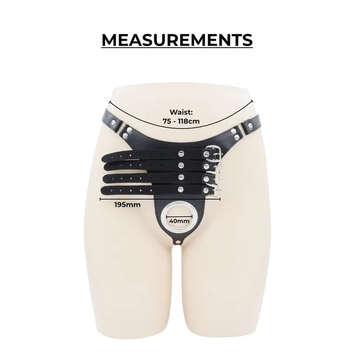 Female Sex Toys FRISKY BUSINESS SG Pleasure Lock Men Chastity Belt BSDM