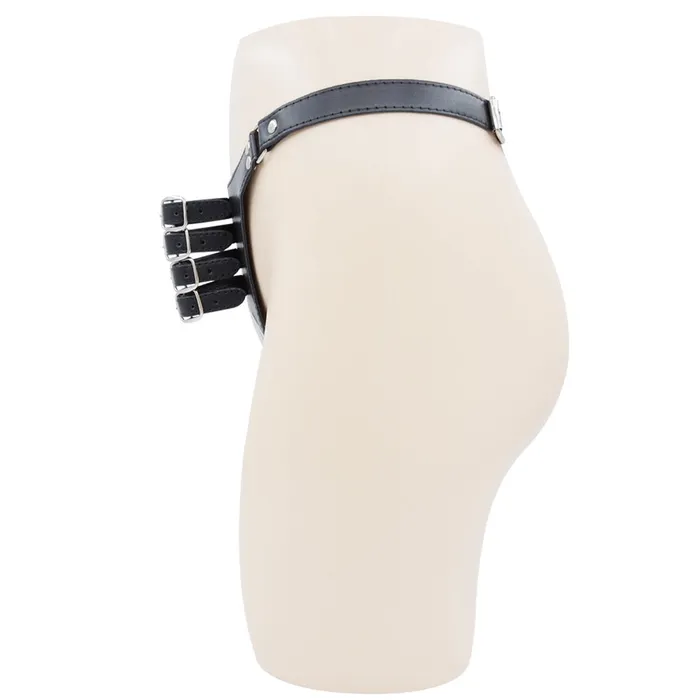 Female Sex Toys FRISKY BUSINESS SG Pleasure Lock Men Chastity Belt BSDM