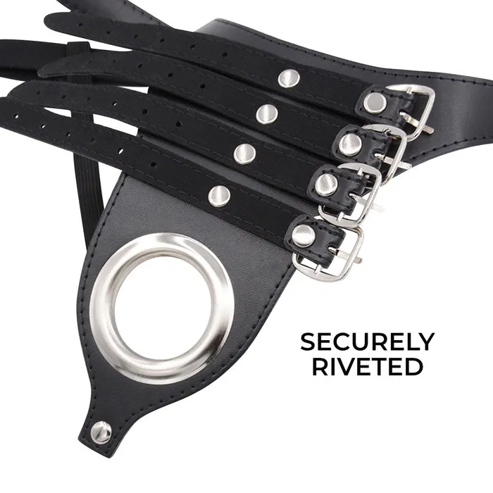 Female Sex Toys FRISKY BUSINESS SG Pleasure Lock Men Chastity Belt BSDM