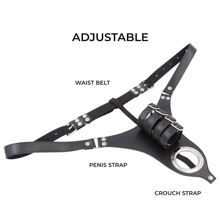 Female Sex Toys FRISKY BUSINESS SG Pleasure Lock Men Chastity Belt BSDM