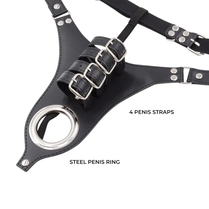Female Sex Toys FRISKY BUSINESS SG Pleasure Lock Men Chastity Belt BSDM