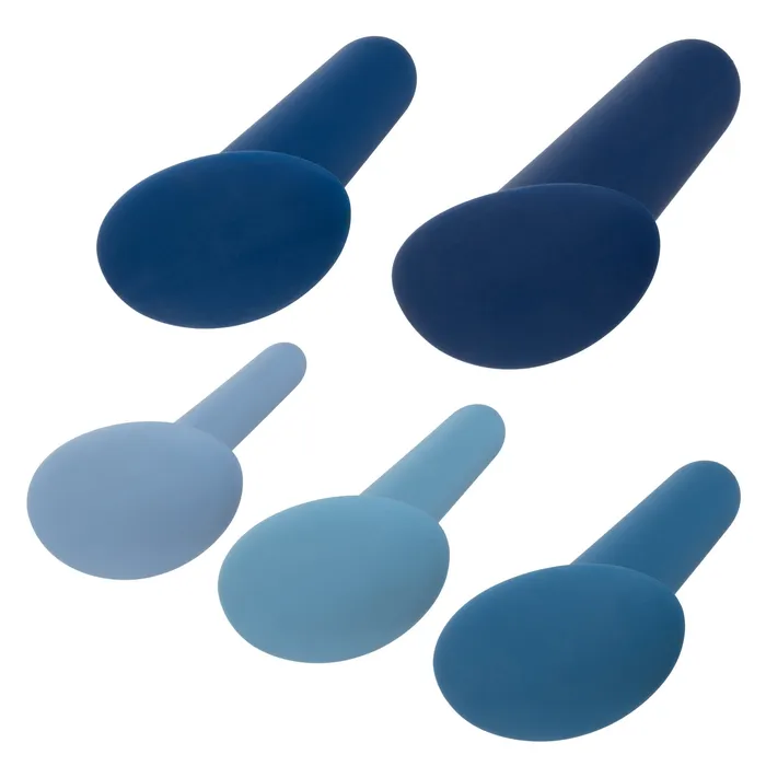 CalExotics Theyology 5Piece Wearable Anal Training Set Blue CalExotics Anal