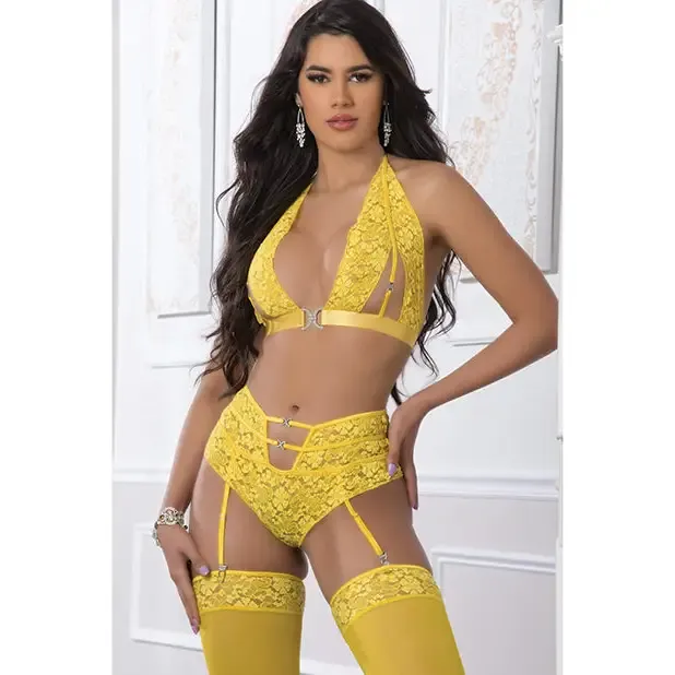 Female Sex Toys G World Intimates 3pc High Waist Garter Laced Panty Set Illuminating Os Female Sex Toys G World Intimates 3pc High Waist Garter Laced Panty Set Illuminating Os