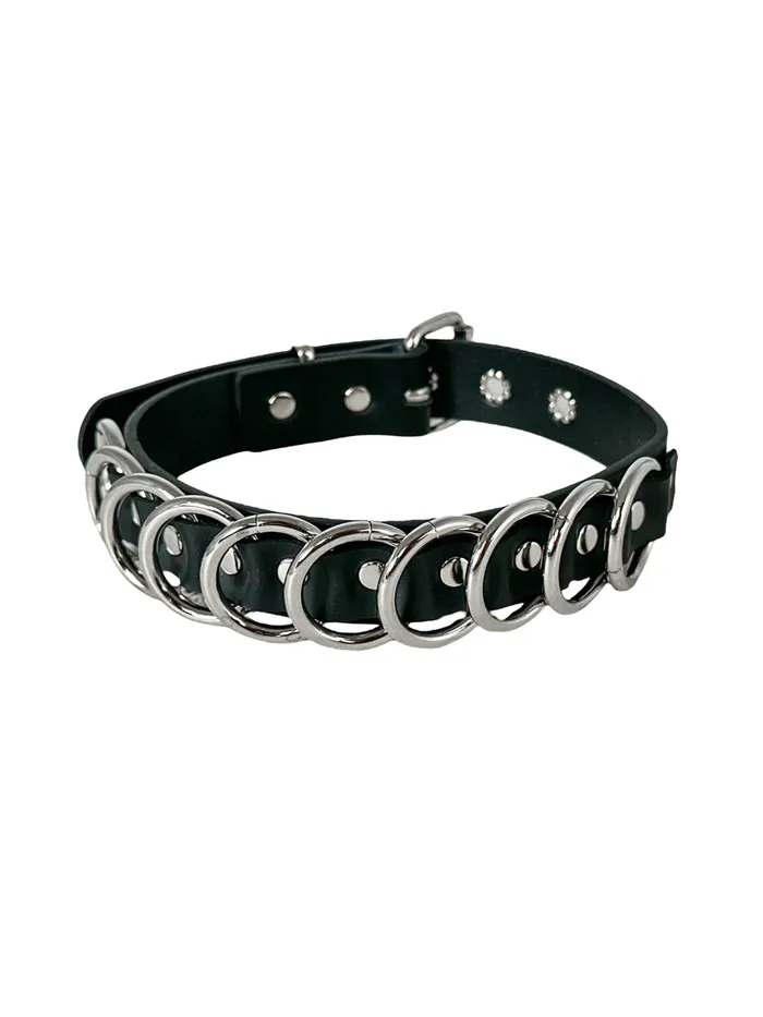 HonourSkintwocom Couples Heavy Bondage Collar With 10 O Rings