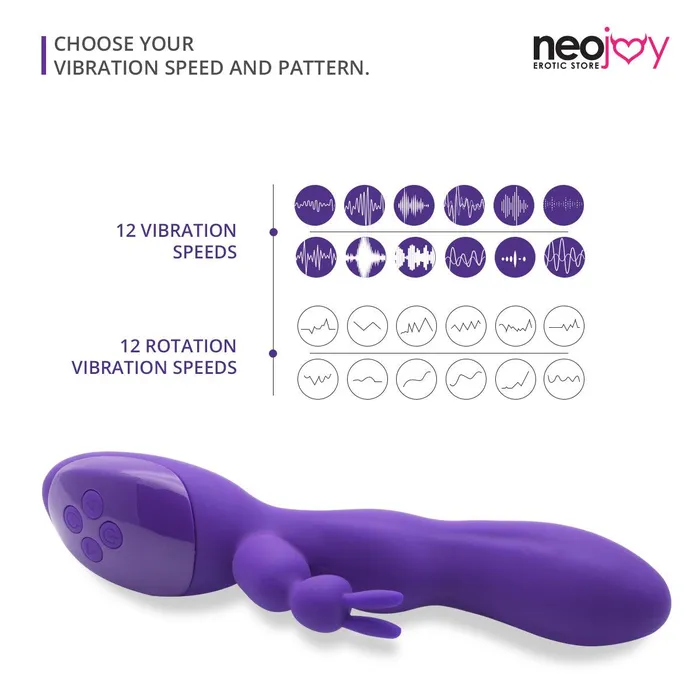 Neojoy Neojoy Bunny Rabbit Vibrator Silicone USB Rechargeable 12Speed Functions Purple Female Sex Toys