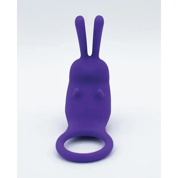 Vibrators Like A Kitten Natalies Toy Box The Cock Hopper Cock Ring Bullet Vibrator Purple Vibrators Like A Kitten Natalies Toy Box The Cock Hopper Cock Ring Bullet Vibrator Purple