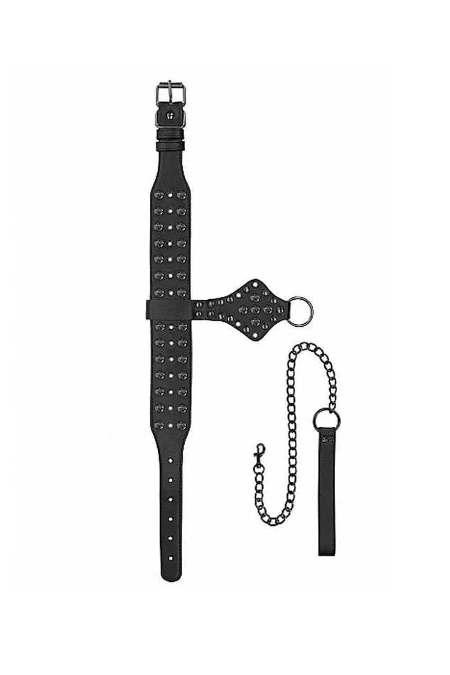 Couples Shots Toys Ouch by Shots Toys Deluxe Spiked Collar With Leash Black