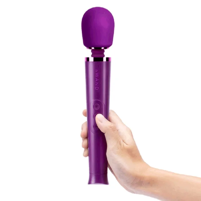 Female Sex Toys LE WAND Le Wand Petite Rechargeable Massager Cherry