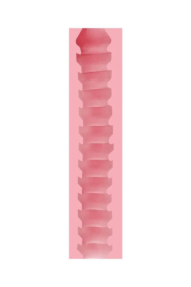 Fleshlight Male Sex Toys Fleshlight Stamina Training Unit Value Pack Butt Orifice