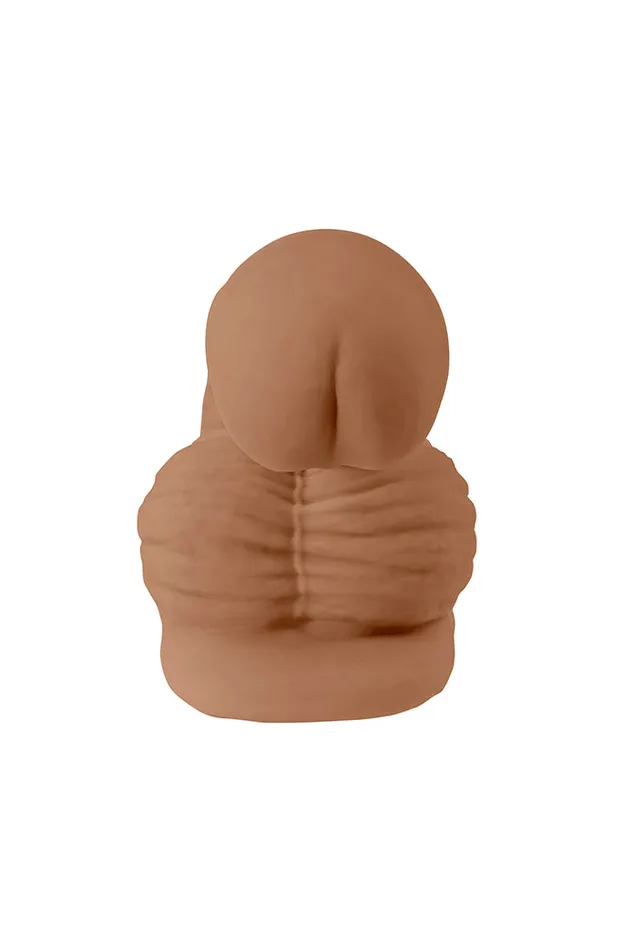 Male Sex Toys Evolved Gender X 4 Packing Penis Various Colors