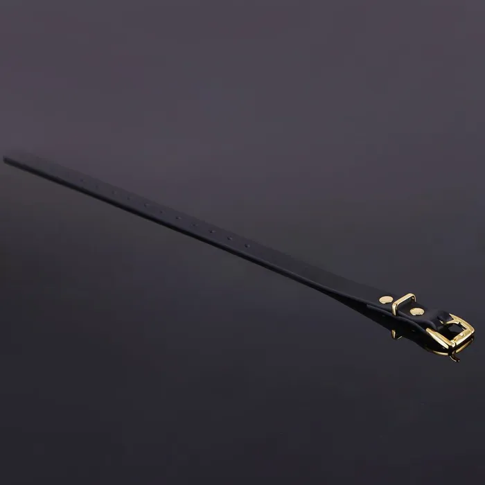 Oxyshop Couples The most Versatile Bondage Kit High Quality Polished Steel