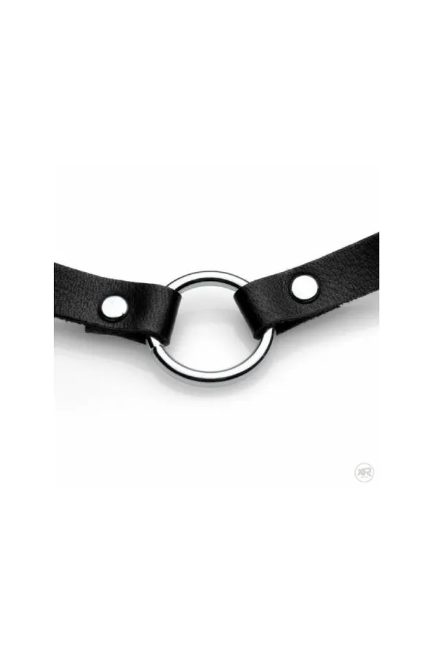 XR Brands Anal XR Brands Master Series Lush Pet Silver Ring Slim Collar Black